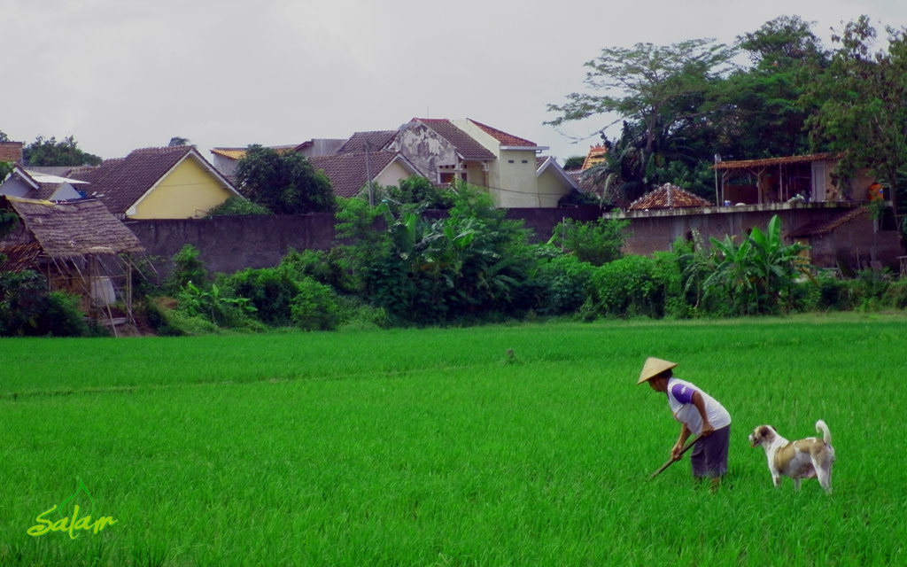 10-oka-petani-dan-anjing